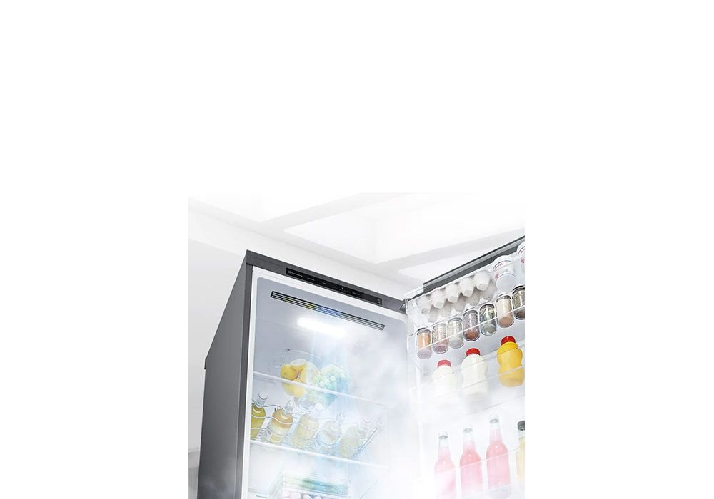 Refrigerador 1 Puerta LG Premium (GLT71PZCSE) - Imagen 6